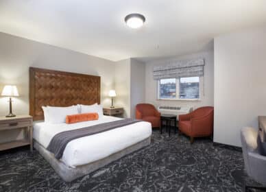 Accessible King Guestroom With Roll-in Shower