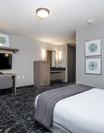 Modern hotel room with a bed, desk, TV, lamp, dresser, and framed artwork on light gray walls; dark patterned carpet and minimal decor.