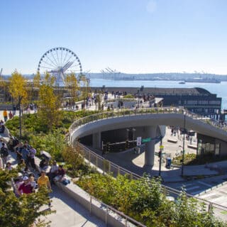 People walk along a waterfront park with greenery, overlooking a pier, Ferris wheel, and water with cranes in the distance under a clear blue sky.
