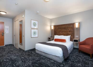 Accessible Queen Guestroom With Roll-in Shower