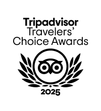 A hand lifts a dumbbell with two weights attached, creating a curved motion with lines above and below the dumbbell indicating movement or exercise.